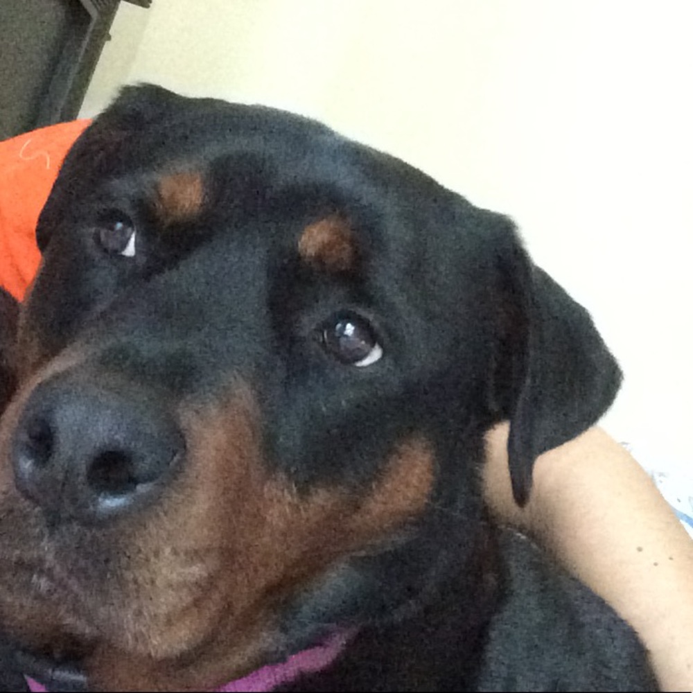 Meet your Posher, Nicole